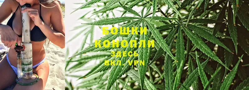 Конопля OG Kush  наркошоп  Верхний Уфалей 